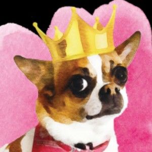 Meet your Posher, Susan